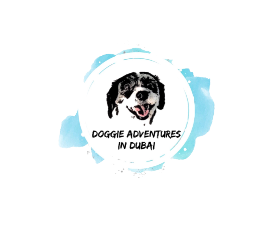Doggie Adventures In Dubai