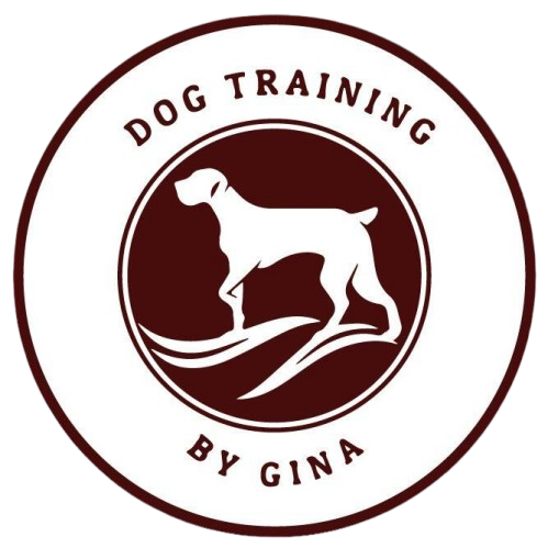gina-logo