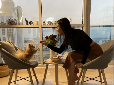 Pet sitting in Dubai