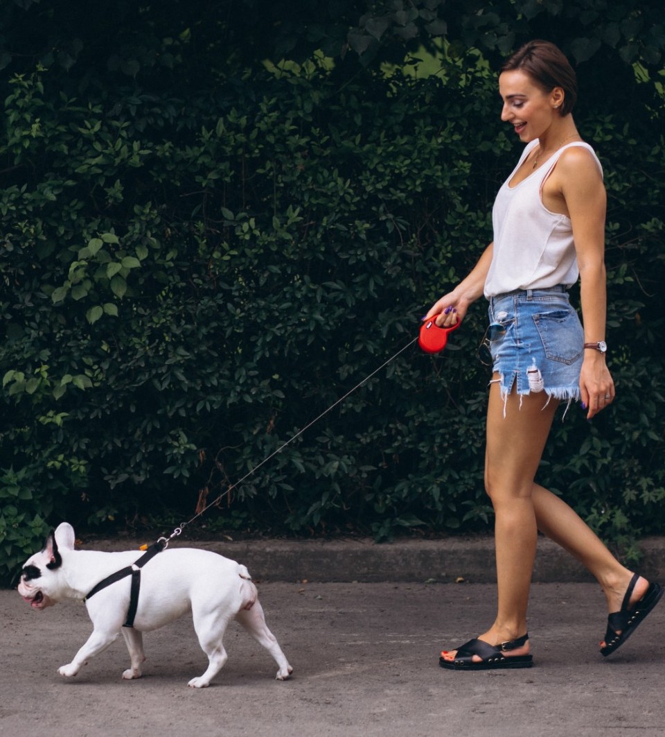 How to Safely Reintroduce Outdoor Walks After the Summer Heat
